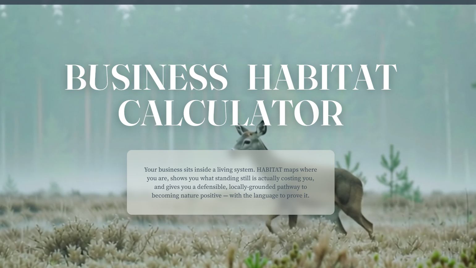 Business Habitat Calculator landing page — a deer in a misty forest behind editorial display type