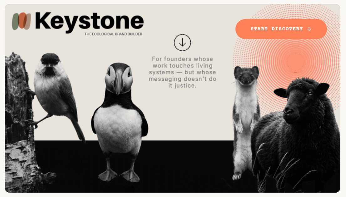Keystone Brand Builder homepage — black-and-white nature photography with the Keystone wordmark and a Start Discovery call to action